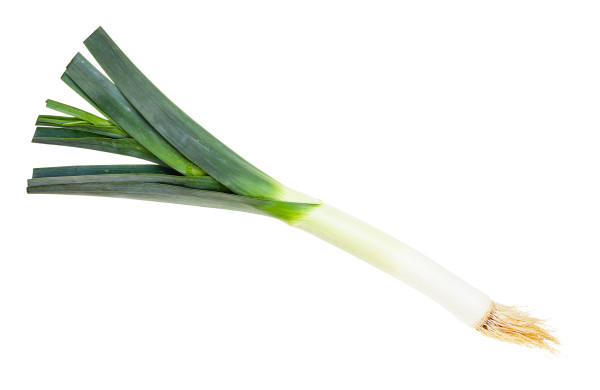 large-fresh-leek-with-roots-isolated-on-white