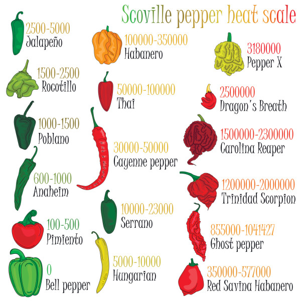 vecteezy_scoville-pepper-heat-scale-pepper-illustration-from_8382961