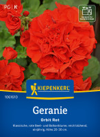Kiepenkerl Geranie Orbit Rot F1