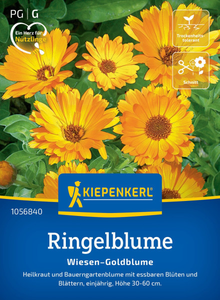 Kiepenkerl Ringelblume Wiesen-Goldblume