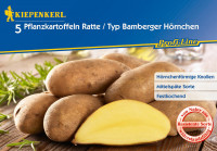 Kiepenkerl Pflanzkartoffel La Ratte 5 St