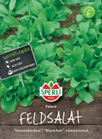 Sperli Feldsalat Palace