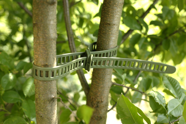 Produktbild von Videx Baumbinder TREEFIX XL grün 2, 8, x58 cm an einem Baumstamm befestigt vor einem unscharfen Hintergrund mit Blättern.