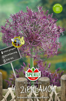 Sperli Zierlauch christophii