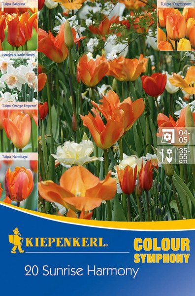 Produktbild von Kiepenkerl Colour Symphony Sunrise Harmony mit verschiedenen bunten Blumen und Verpackungsdesign mit Markenlogo und Produktbezeichnung.