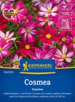Kiepenkerl Cosmos Cosimo