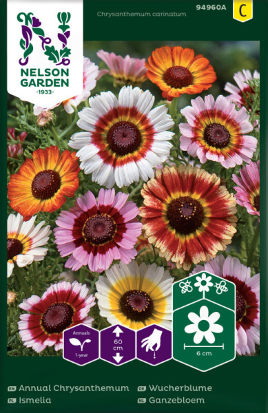 Produktbild von Nelson Garden Wucherblume Samenpackung mit bunten Blumen und Anbauinformationen