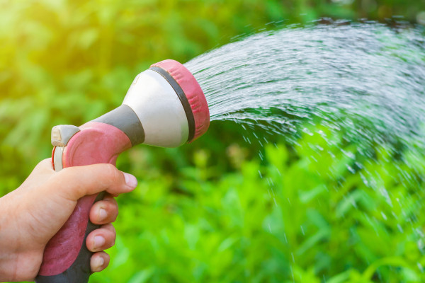 2400-male-hand-with-spray-gun-watering-a-vegetable-garden-on-a-background-of-green-plants-in-bokeh-illuminated-by-sunlight