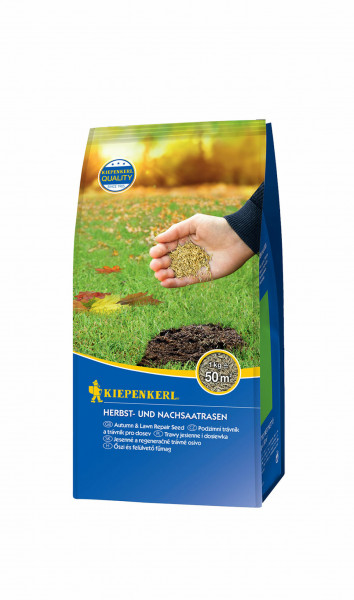 Produktbild von Kiepenkerl Herbst- und Nachsaatrasen 1kg Packung mit Informationen in Deutsch und anderen Sprachen sowie Hand, die Grassamen zeigt