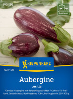 Kiepenkerl Aubergine Lucilla F1