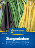 Kiepenkerl Stangenbohne Mix Neckarkönigin Neckargold Blauhilde