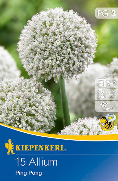 Produktbild von Kiepenkerl Zierlauch Ping Pong Samenpackung mit Blütenabbildung und Pflanzinformationen.