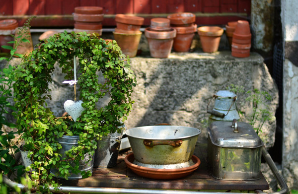 green-plant-2424205_1920