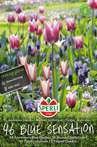 Produktbild von Sperli Frühlingsgarten Blue Sensation mit verschiedenen blühenden Pflanzen und Informationen zur Bepflanzung und Blütezeit in deutscher Sprache.