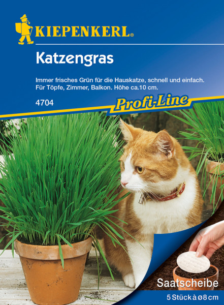 Produktbild von Kiepenkerl Katzengras Saatscheibe mit einer Hauskatze neben einem Topf mit grünem Katzengras und einer Hand, die eine Saatscheibe hält, Verpackungsdetails und Markenlogo sichtbar.