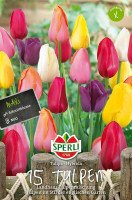 Sperli Maxi Tulpe Landhaus Mix