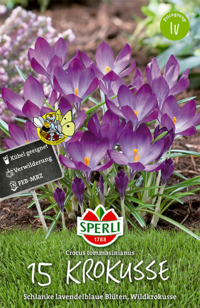 Produktbild von Sperli Wildkrokus tommasinianus mit 15 lavendelblauen Blüten und Hinweisen zur Eignung für Kübel und Verwilderung sowie der Blütezeit von Februar bis März.