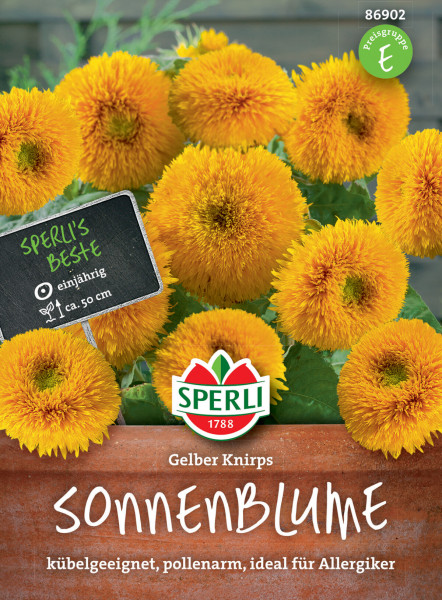 Produktbild von Sperli Sonnenblume Gelber Knirps F1 mit blühenden gelben Sonnenblumen und Verpackungsinformationen wie kübelgeeignet und pollenarm.