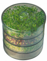 Kiepenkerl Sprossenbox Set