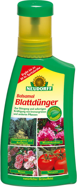 Produktbild von Neudorff Balsamol Blattdünger 250ml Flasche mit Markenlogo Anwendungshinweise und Bildern von Pflanzen wie Immergrüne Koniferen Rhododendron Rosen und Tomaten.