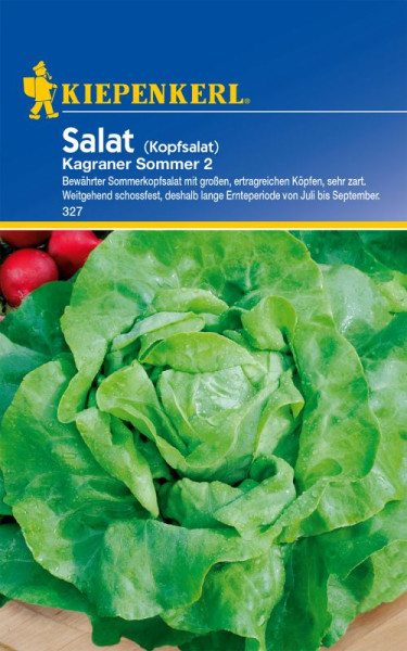 Produktbild von Kiepenkerl Kopfsalat Kagraner Sommer 2 mit Beschreibung und Bild eines grünen Kopfsalats vor roten Radieschen im Hintergrund.