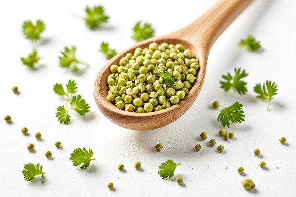 2400-coriander-seeds-in-wooden-spoon-with-fresh-leaves