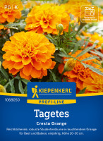 Kiepenkerl Tagetes Cresto Orange