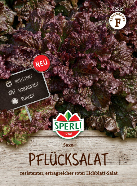 Produktbild von Sperli Eichblattsalat Saxo mit reichhaltigem rotem Eichblattsalat und Hinweisen zu Resistenz, Schossfestigkeit und Robustheit auf einem Schild sowie der Kennzeichnung Neu.