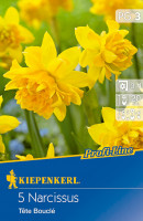 Kiepenkerl Profi-Line Narzisse Tête Bouclé