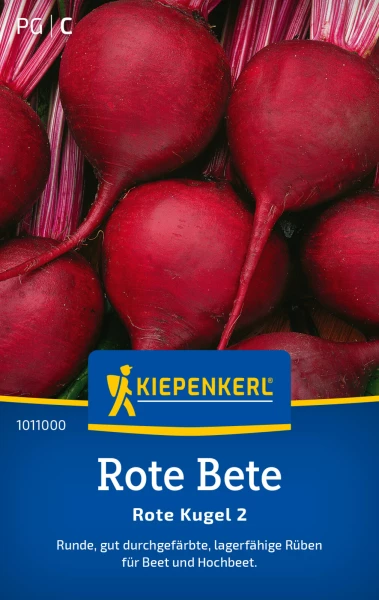 Rote Bete richtig pflegen und dngen