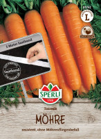 Sperli Möhre Tozresis, F1, Saatband