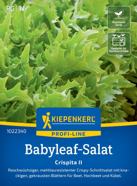 Kiepenkerl Babyleaf-Salat Crispita II