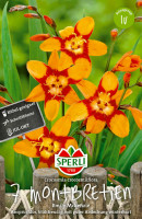 Sperli Montbretie Emily McKenzie