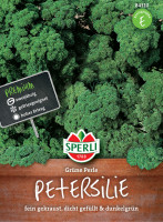 Sperli Petersilie Grüne Perle