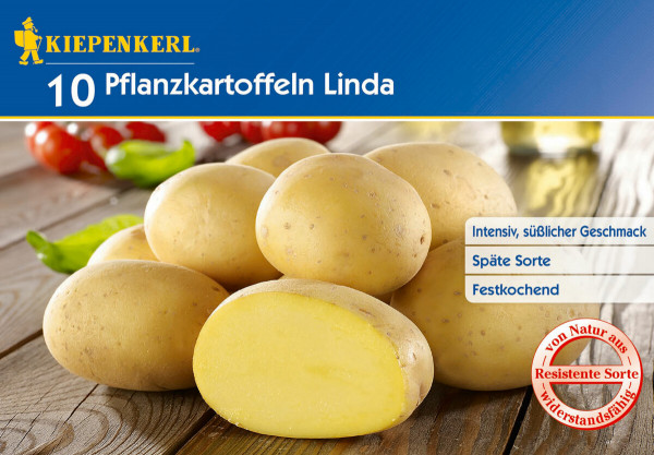 Produktbild von Kiepenkerl Pflanzkartoffel Linda Basis mit zehn Kartoffeln und Qualitätsmerkmalen wie intensiv süßlicher Geschmack, späte Sorte und festkochend.
