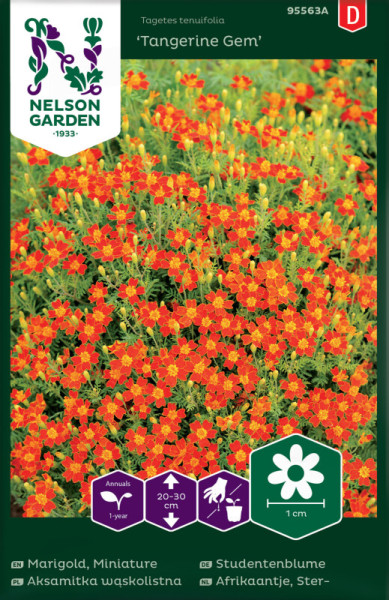 Produktbild von Nelson Garden Studentenblume Tangerine Gem Saatguttüte mit Blumenabbildung und Pflanzinformationen in mehreren Sprachen