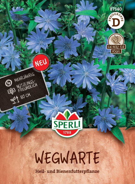 Produktbild von Sperli Wegwarte Heil- und Bienenfutterpflanze mit blauen Blüten Informationen zu Mehrjährigkeit und Nützlingsfreundlichkeit sowie der Marke Sperli.