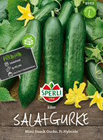 Sperli Salatgurke Silor, F1