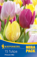 Kiepenkerl Mega-Pack Einfache frühe Tulpe Princen Mischung