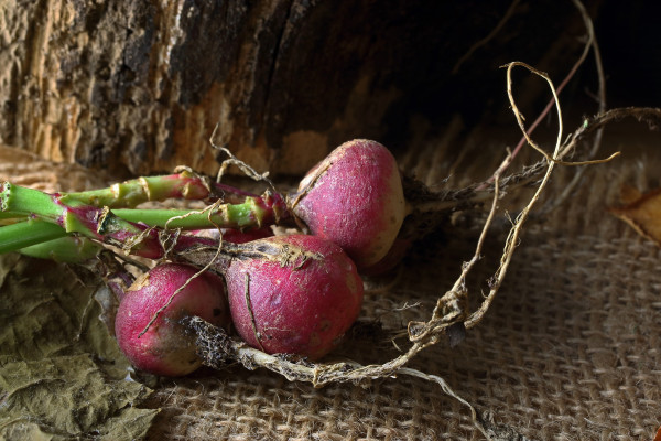 radishes-7854068_1920