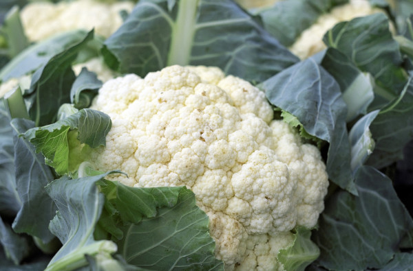 cauliflower-1465732_1920