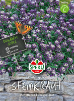 Sperli Steinkraut Königsteppich