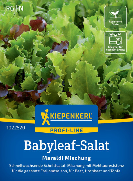 Kiepenkerl Babyleaf- Salat Maraldi Mischung