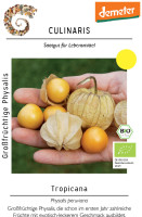 Culinaris BIO Großfrüchtige Physalis Tropicana