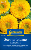 Kiepenkerl Sonnenblume Gefüllte Riesen