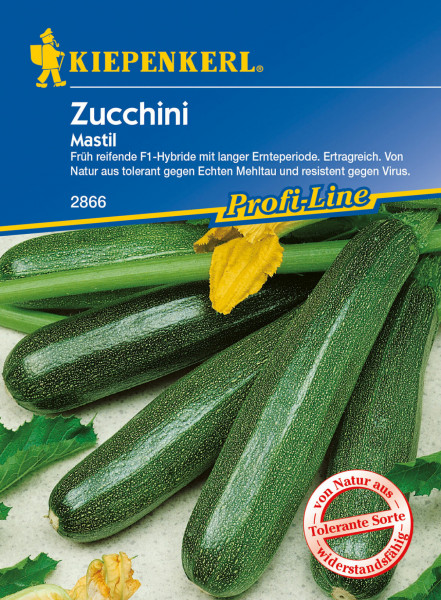 Produktbild von Kiepenkerl Zucchini Mastil F1 mit Abbildung reifer Zucchini einer ertragreichen und mehltautoleranten Hybridsorte samt Verpackungsdesign und Markenlogo.