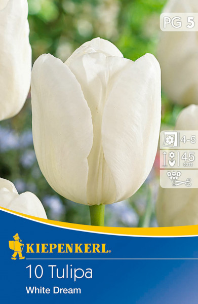 Produktbild von Kiepenkerl Triumph-Tulpe White Dream mit einer weißen Blüte im Vordergrund und Verpackungsinformationen im unteren Bereich.