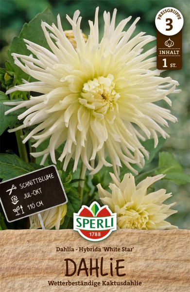 Produktbild von Sperli Dahlie White Star mit Abbildung einer weißen Dahlienblüte und Verpackungsinformationen wie Preisgruppe und Inhalt.