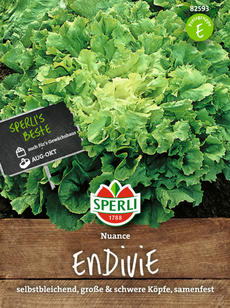 Produktbild von Sperli Endivie Nuance mit Endivienpflanzen im Hintergrund und einer Packung im Vordergrund die Informationen zur Aussaatzeit und Eigenschaften der Sorte bietet.