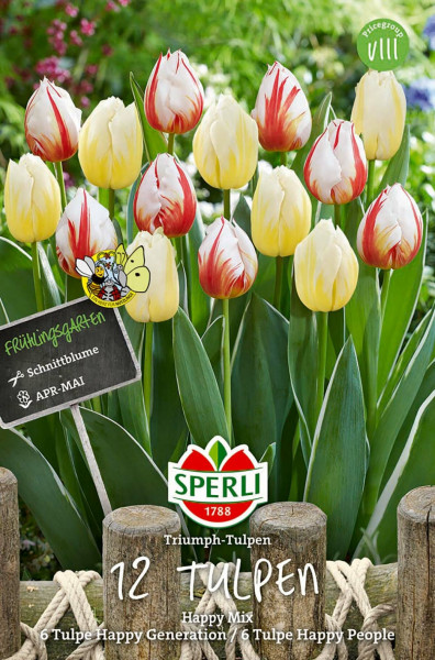 Produktbild von Sperli Frühlingsgarten Happy Mix mit Verpackung und Abbildung von roten und gelben Tulpen sowie Informationen zum Blütezeitraum im April und Mai.